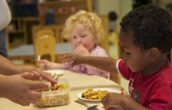 PITC PARS Subscale V cover